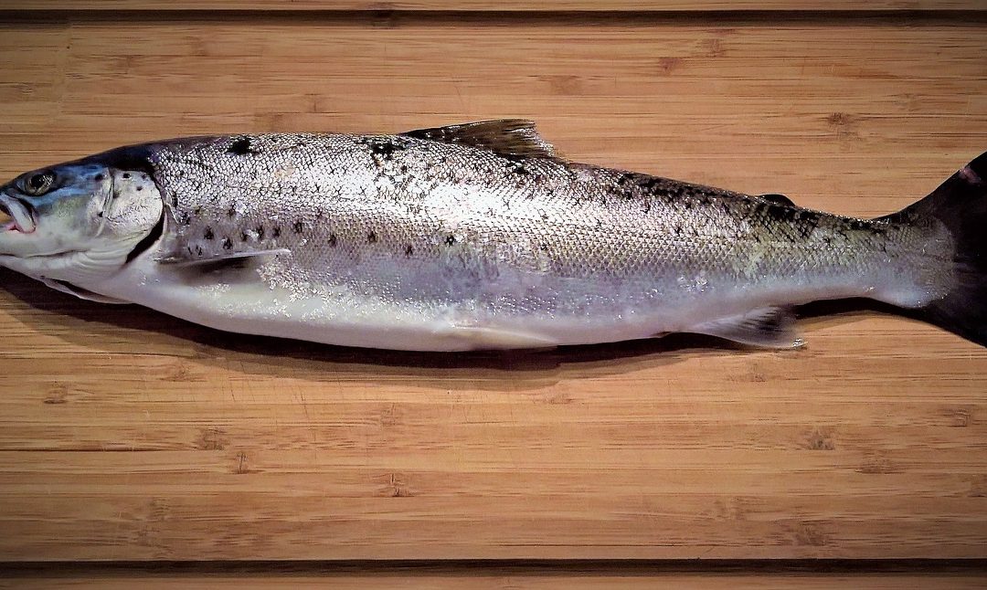 Los beneficios de consumir pescado y mariscos son múltiples